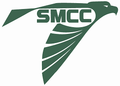 High School Logo Blanket
